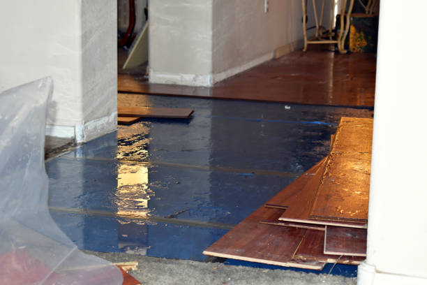 Professional Burst Pipe Cleanup technician working in Fielding, UT
